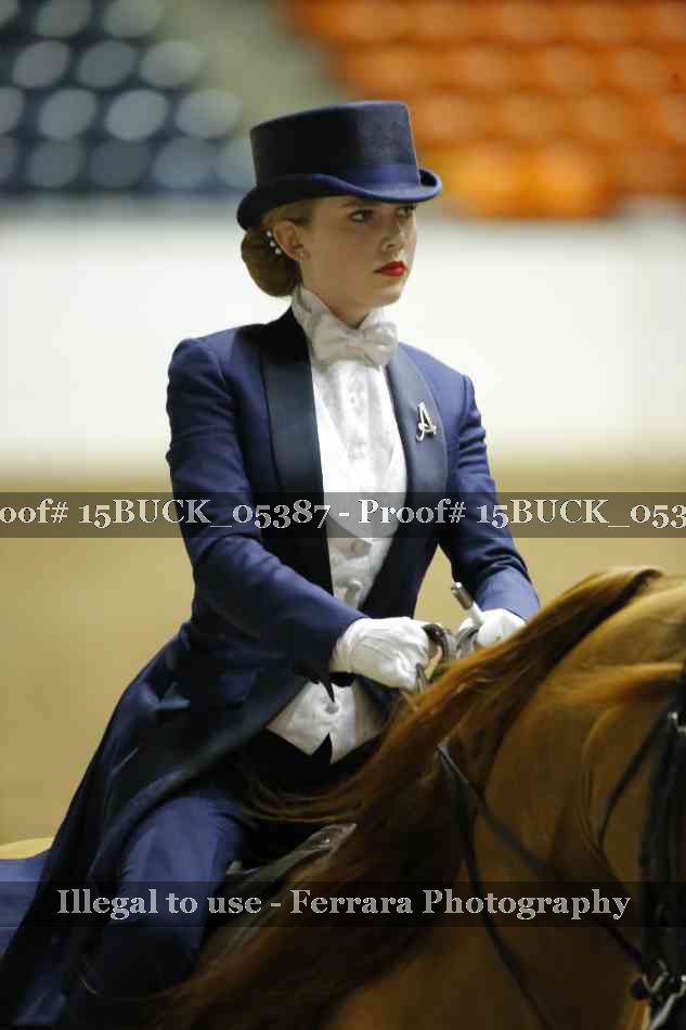 Proof 15BUCK_05387