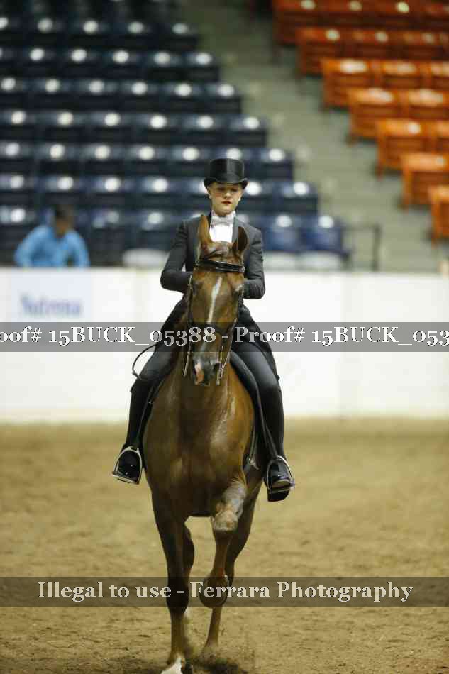 Proof 15BUCK_05388