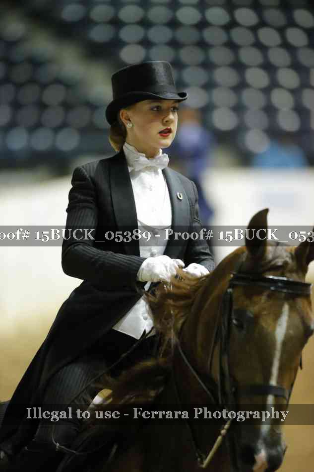 Proof 15BUCK_05389