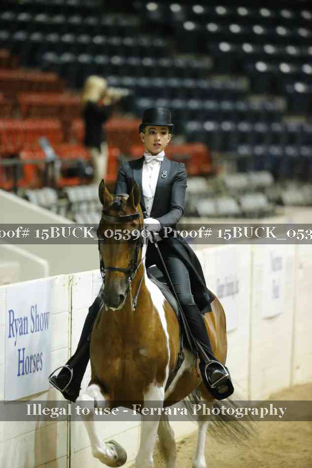 Proof 15BUCK_05390