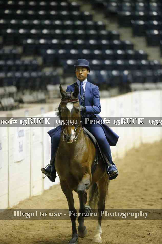 Proof 15BUCK_05391