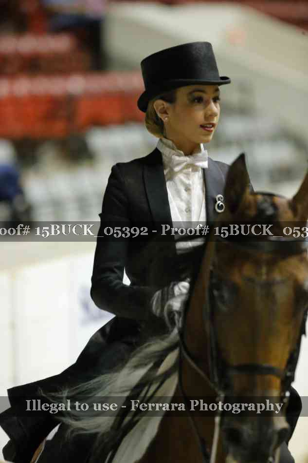 Proof 15BUCK_05392