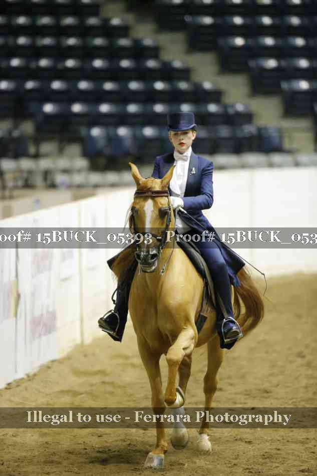 Proof 15BUCK_05393