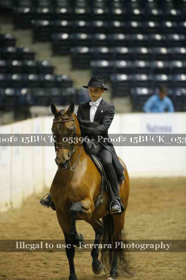 Proof 15BUCK_05396