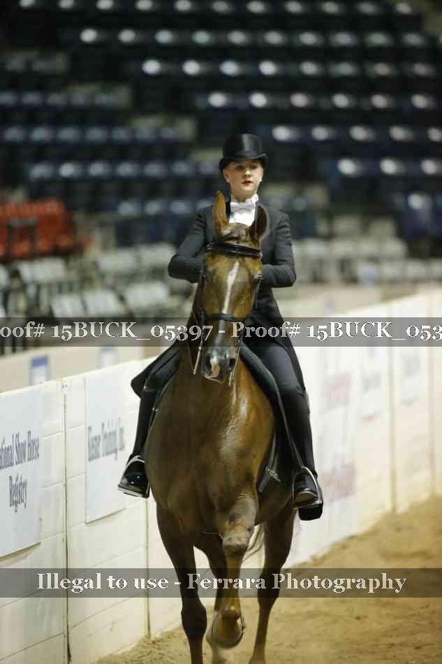 Proof 15BUCK_05397