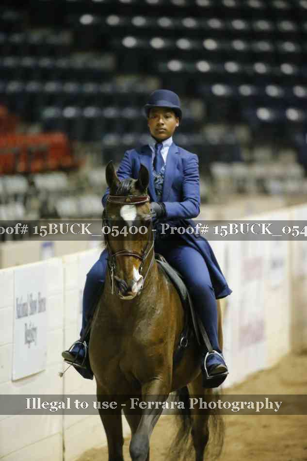 Proof 15BUCK_05400