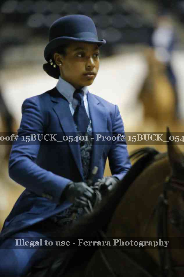 Proof 15BUCK_05401