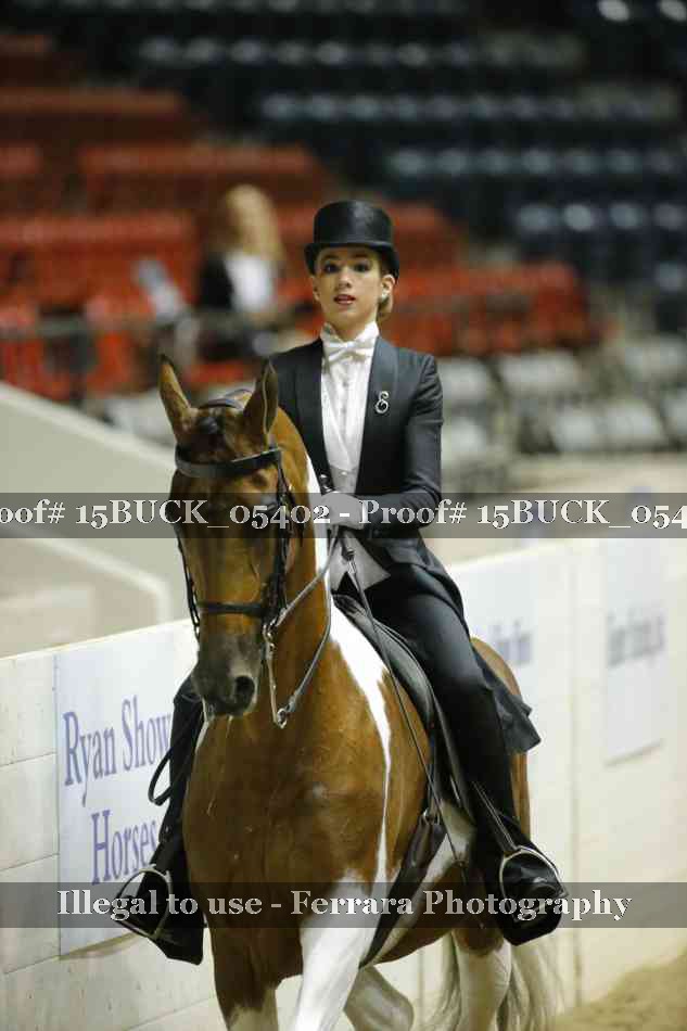 Proof 15BUCK_05402
