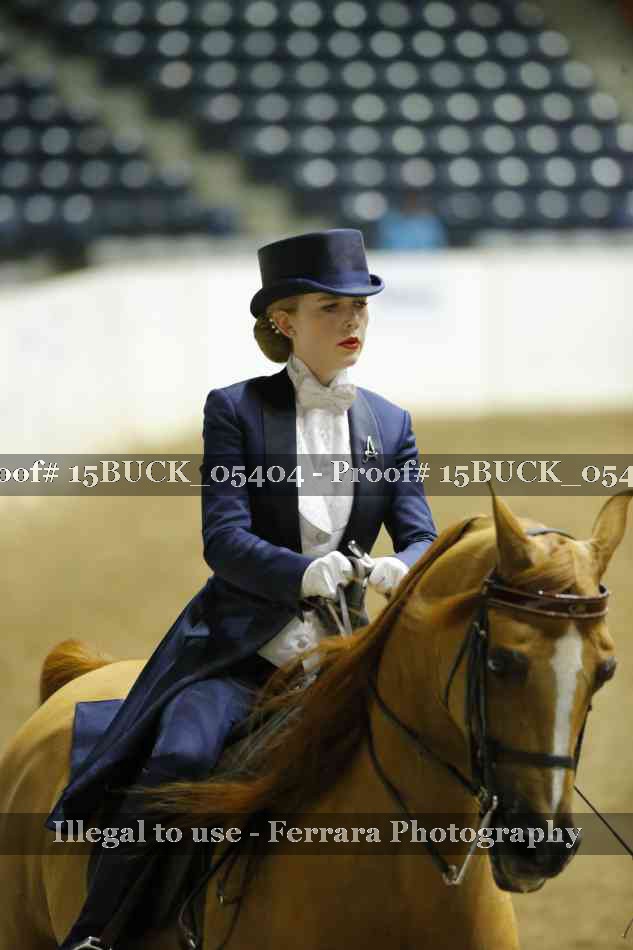 Proof 15BUCK_05404