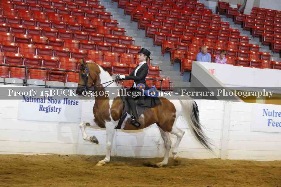 Proof 15BUCK_05405