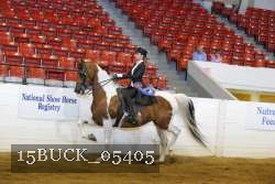 15BUCK_05405 proof