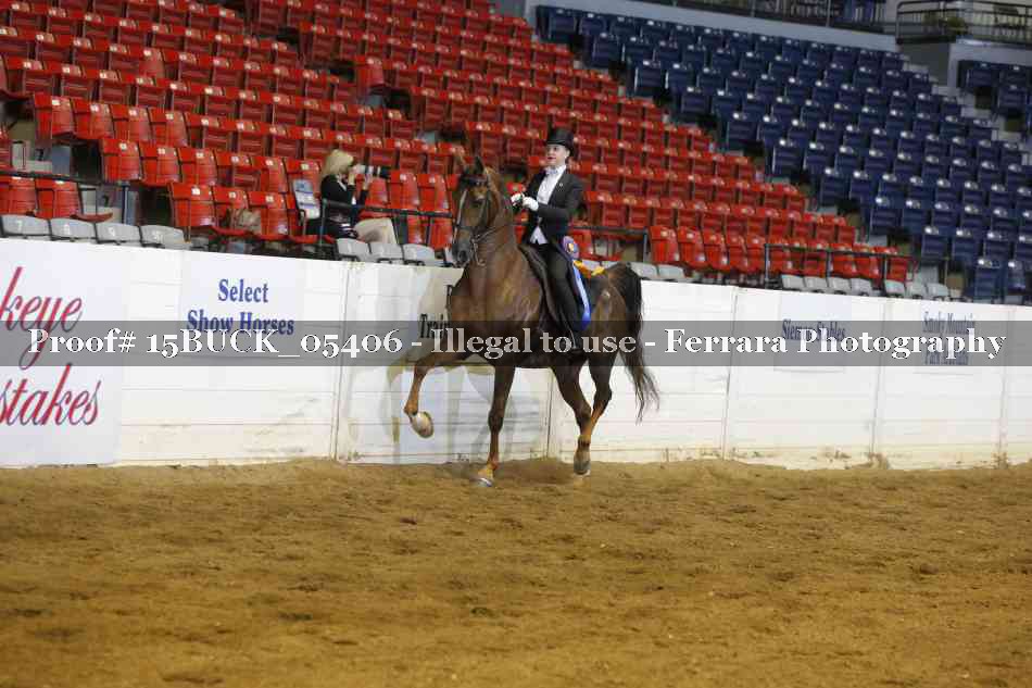 Proof 15BUCK_05406