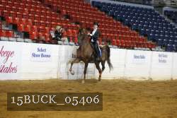 15BUCK_05406 proof