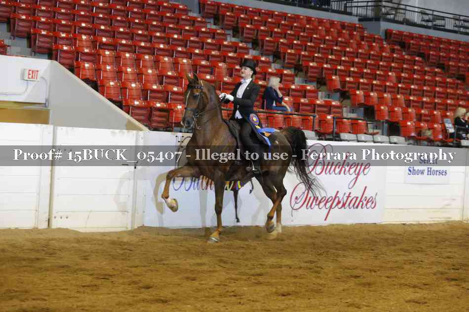 Proof 15BUCK_05407