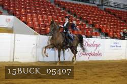 15BUCK_05407 proof