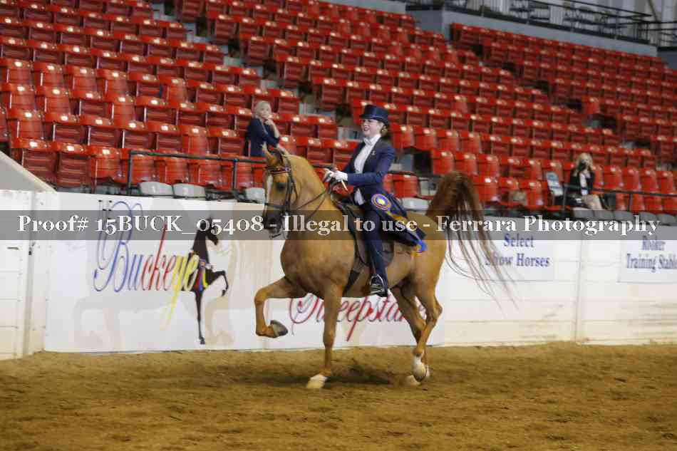 Proof 15BUCK_05408