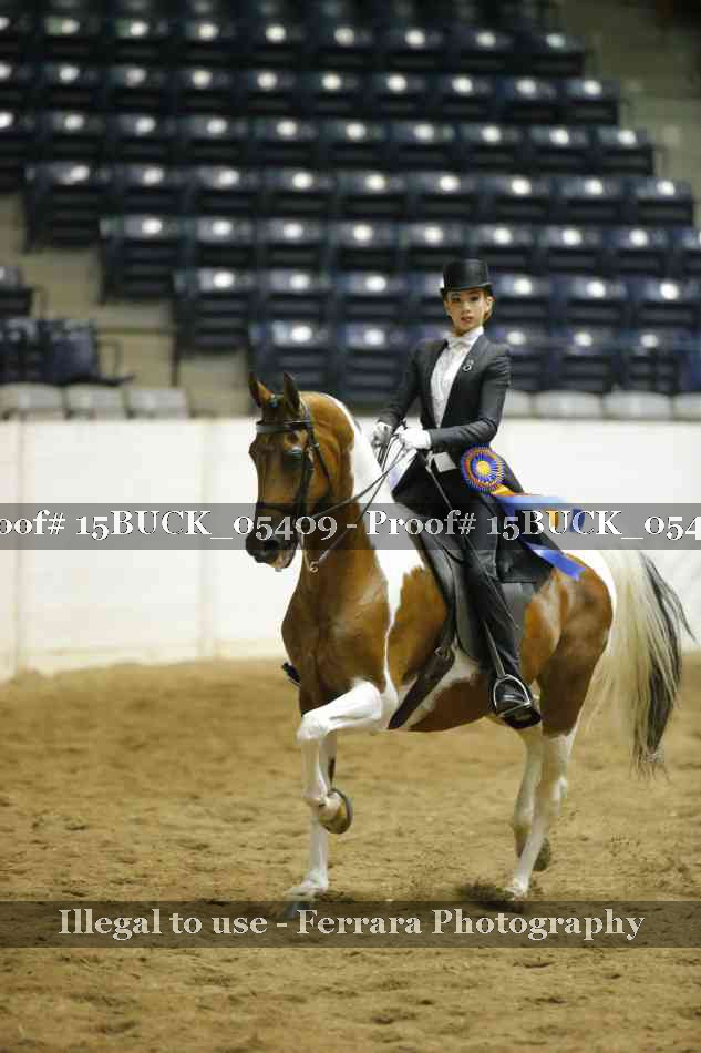 Proof 15BUCK_05409