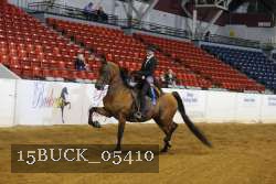 15BUCK_05410 proof