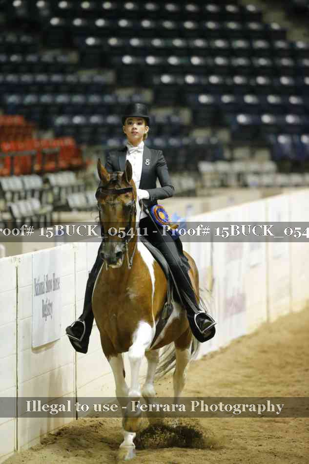 Proof 15BUCK_05411
