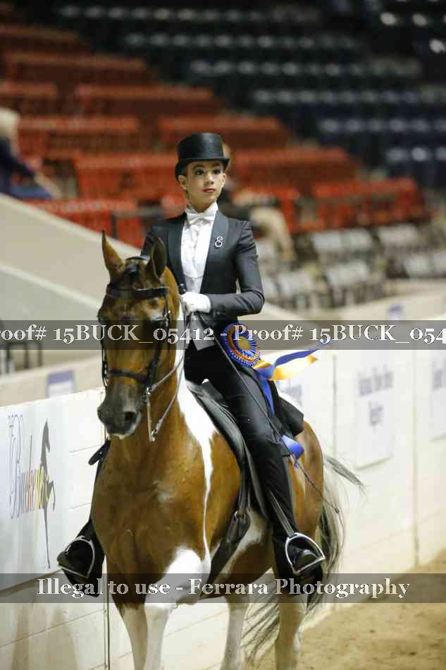Proof 15BUCK_05412