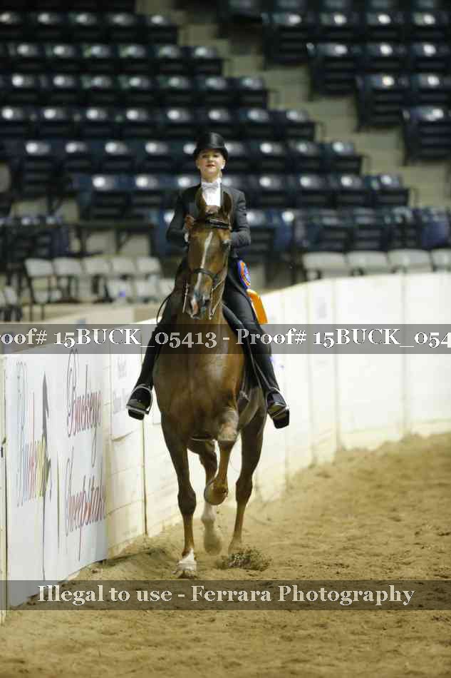 Proof 15BUCK_05413