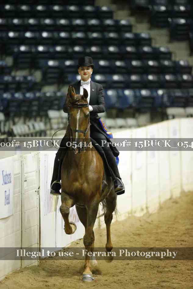 Proof 15BUCK_05414