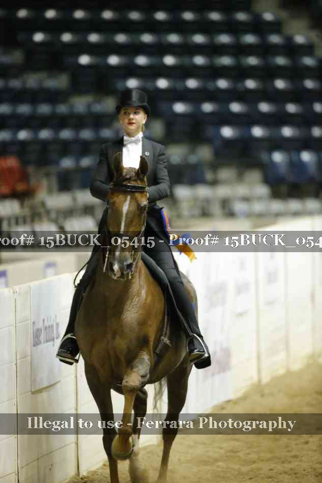 Proof 15BUCK_05415