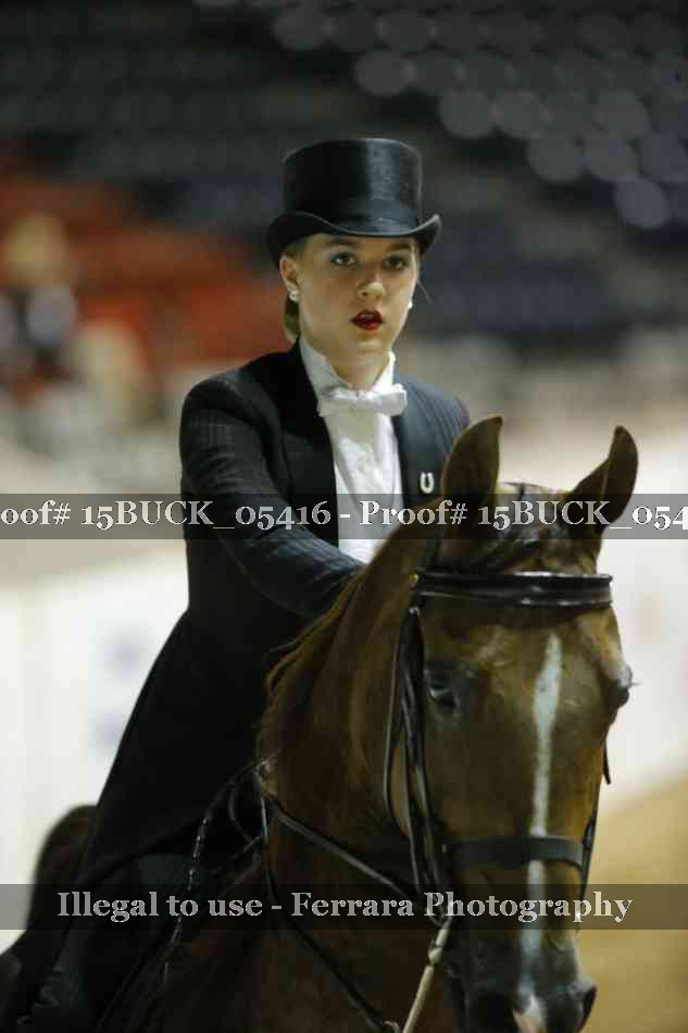 Proof 15BUCK_05416