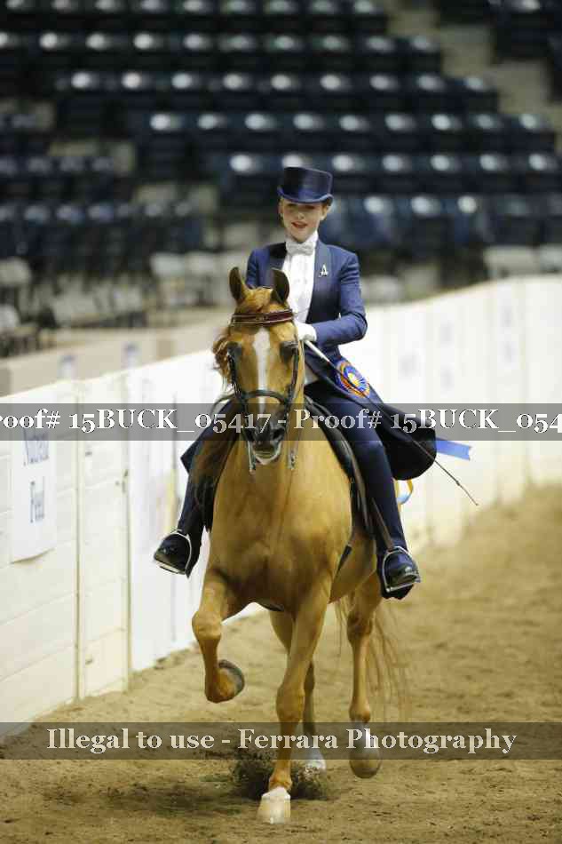 Proof 15BUCK_05417