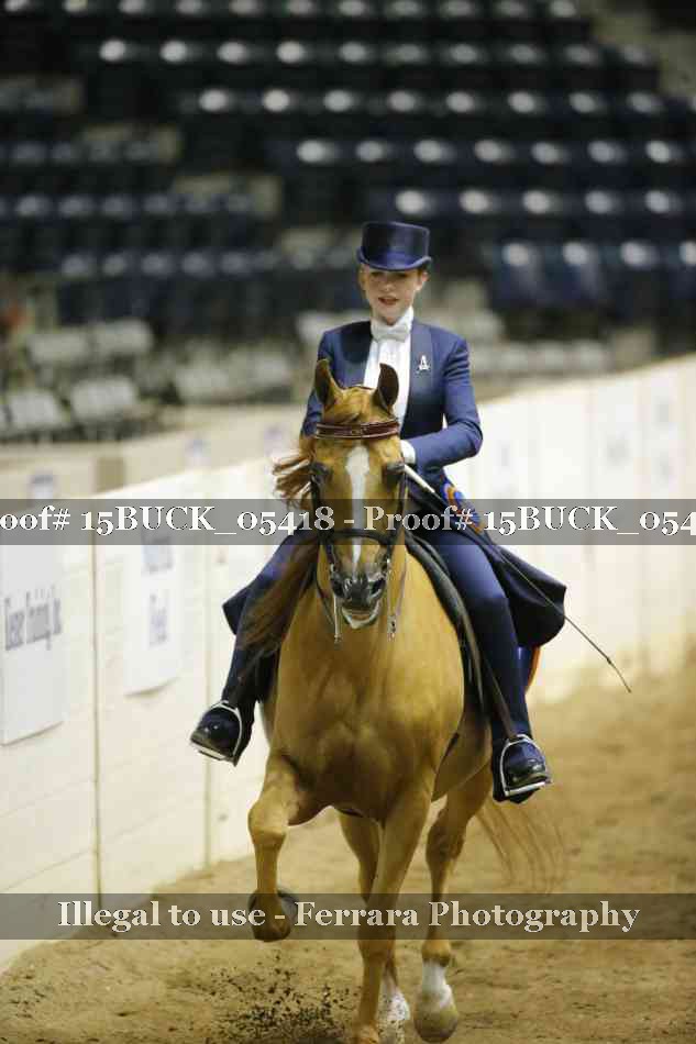 Proof 15BUCK_05418