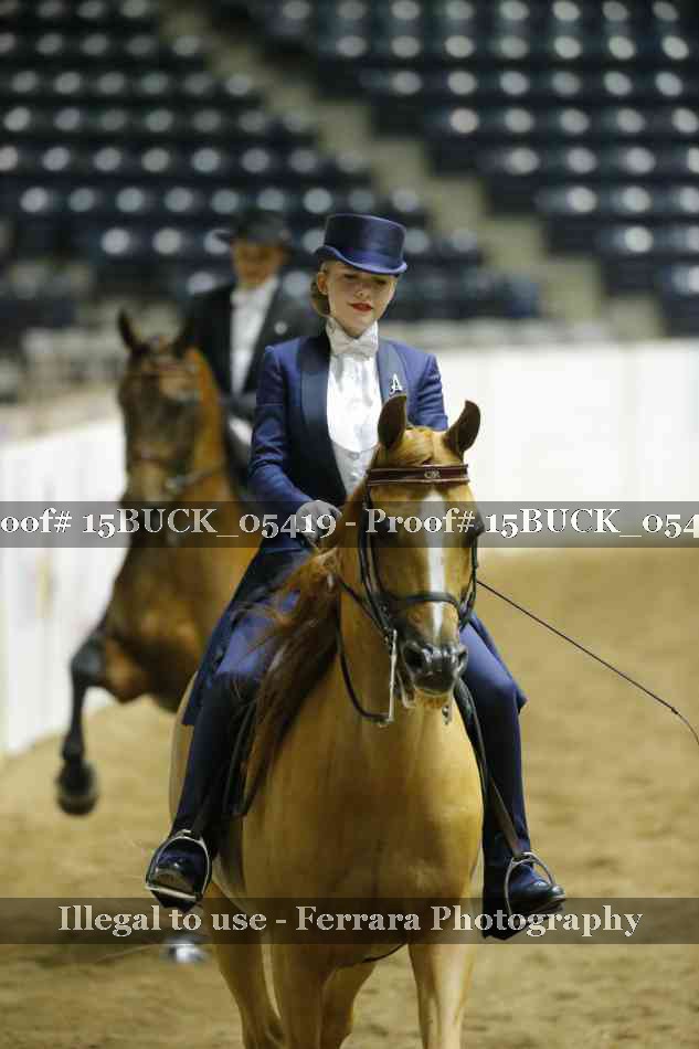 Proof 15BUCK_05419