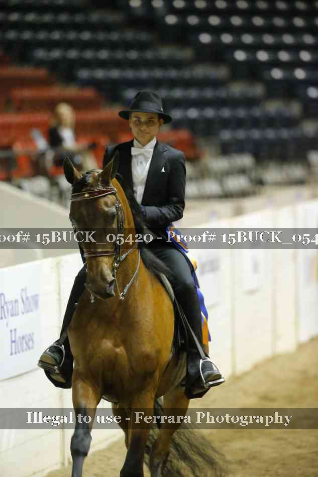 Proof 15BUCK_05420