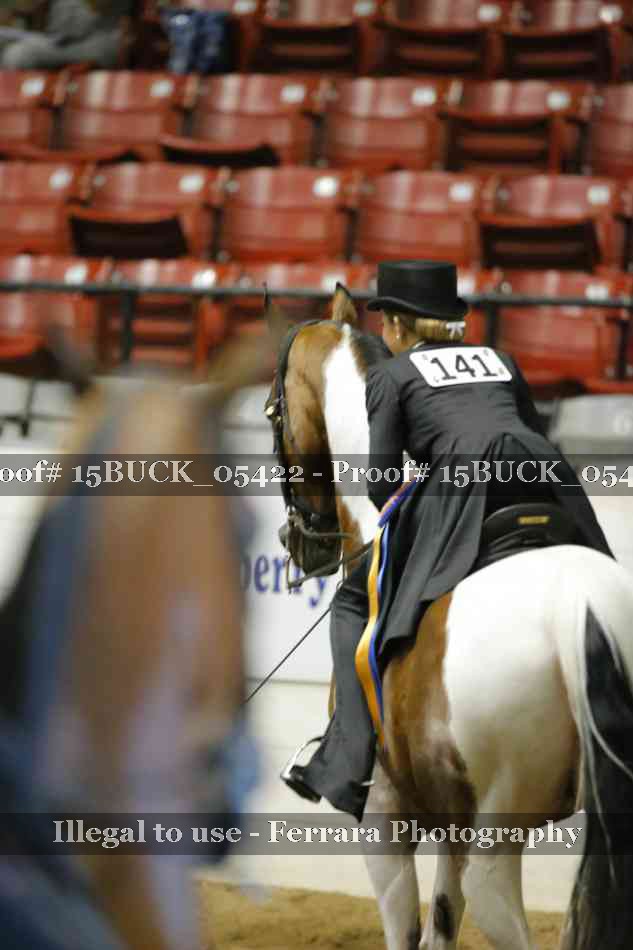 Proof 15BUCK_05422