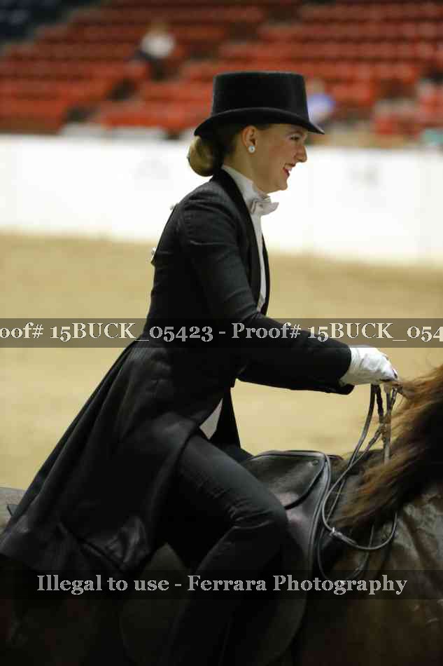 Proof 15BUCK_05423