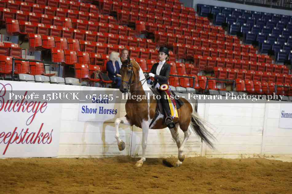 Proof 15BUCK_05425