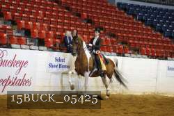 15BUCK_05425 proof