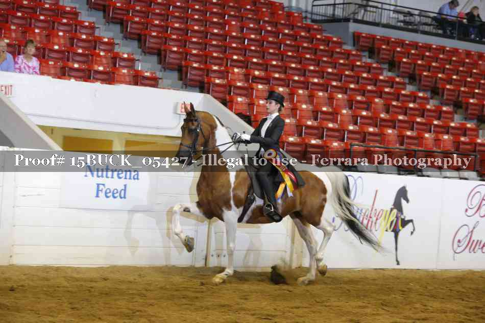 Proof 15BUCK_05427
