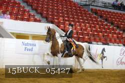 15BUCK_05427 proof