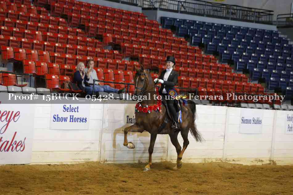 Proof 15BUCK_05428