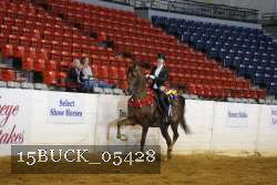 15BUCK_05428 proof