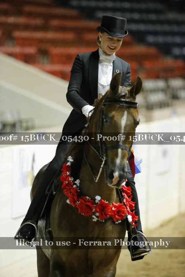 Proof 15BUCK_05430