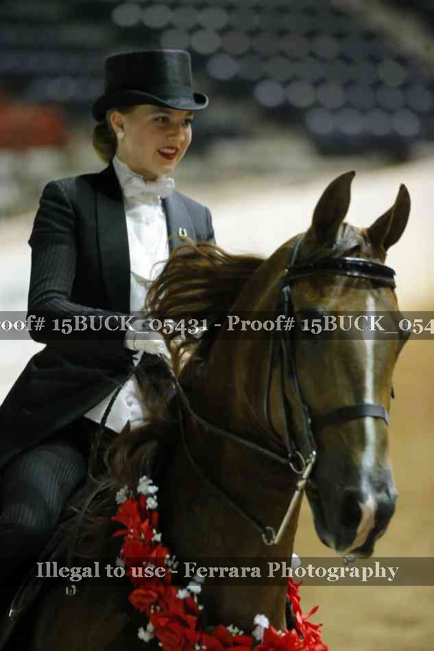 Proof 15BUCK_05431