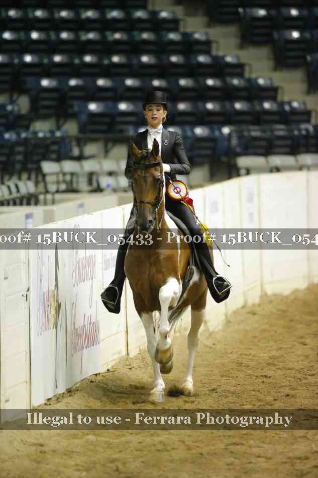 Proof 15BUCK_05433