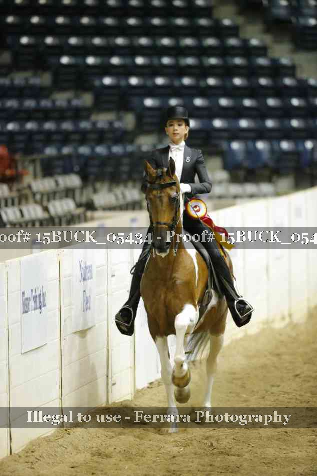 Proof 15BUCK_05434