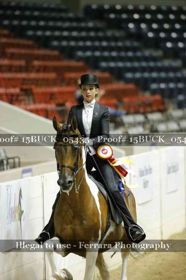 Proof 15BUCK_05435