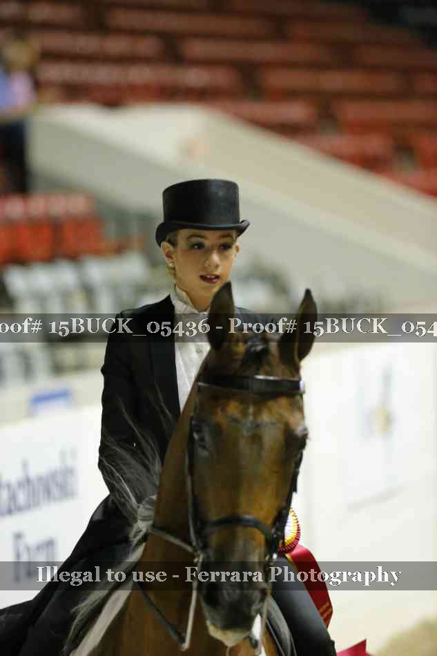 Proof 15BUCK_05436