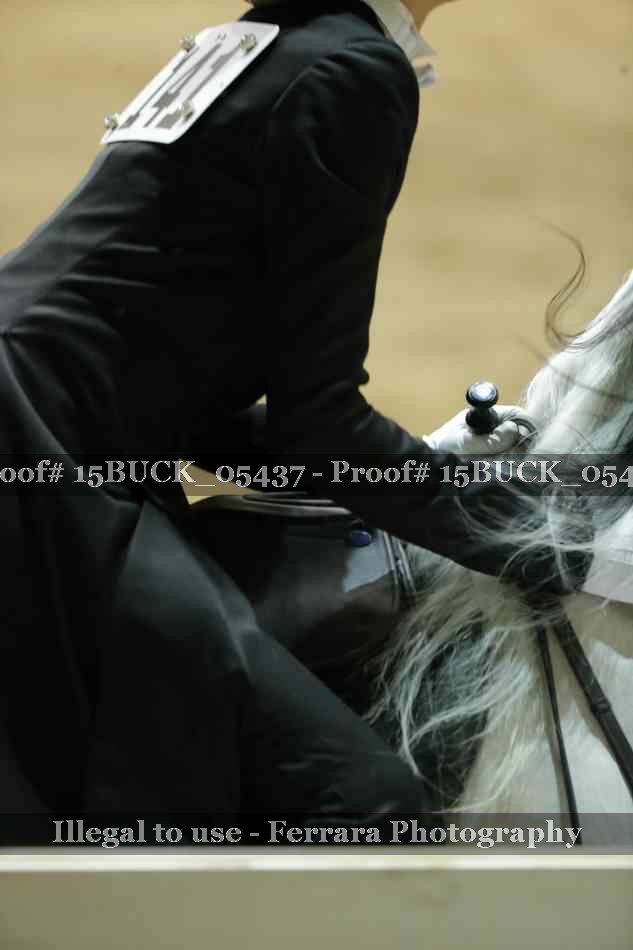 Proof 15BUCK_05437