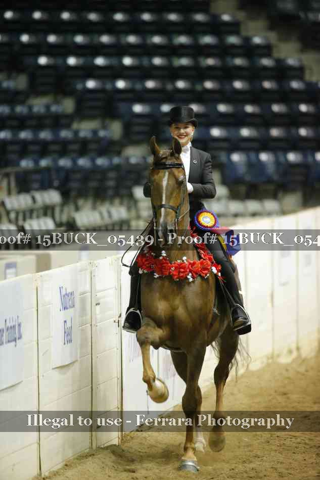 Proof 15BUCK_05439