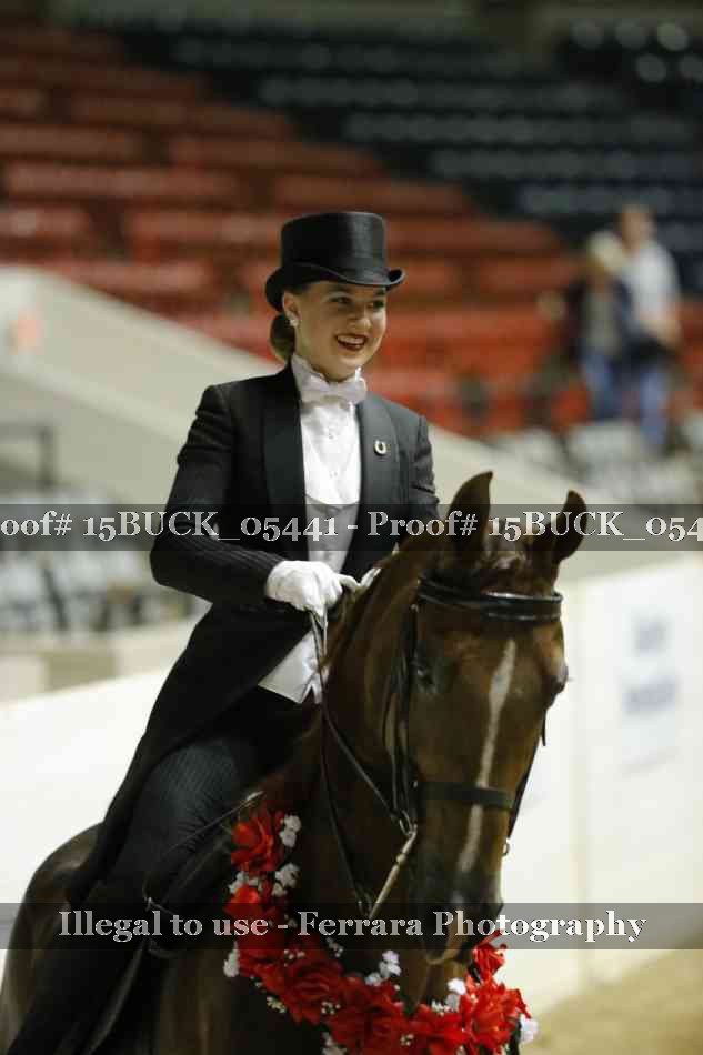 Proof 15BUCK_05441