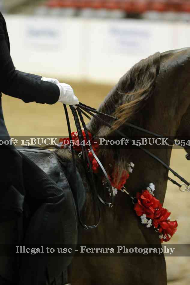 Proof 15BUCK_05444